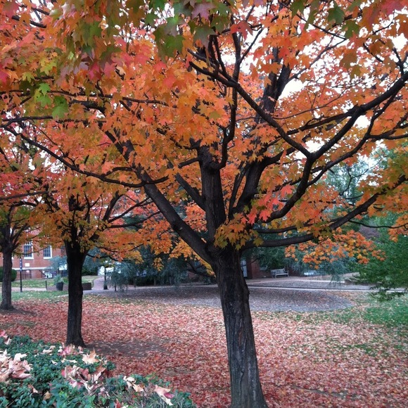 Meet your Posher, Katherine - Picture 1 of 1